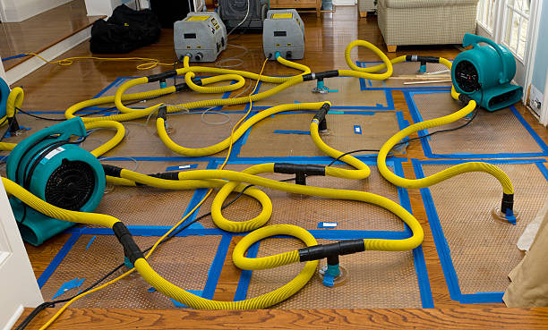 Professional Water Damage Repair technician working in West Jefferson, OH